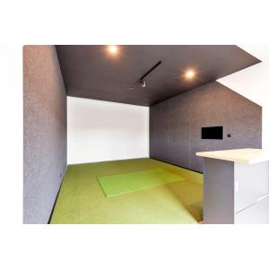 Professional golf simulator room interior with artificial turf and projection wall